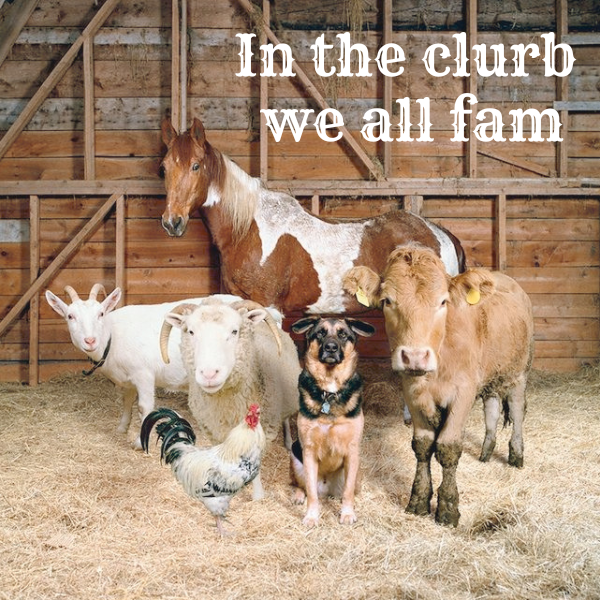 In the Clurb